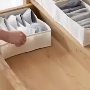 ORGANIZADOR DE ROPA INTERIOR SET X4 - ENVÍO GRATIS 🔥